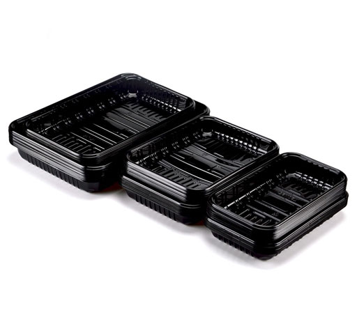 PET Food Packaging Containers