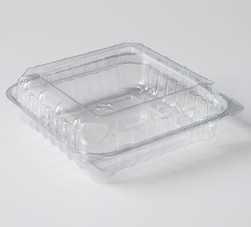 Fresh Food Container