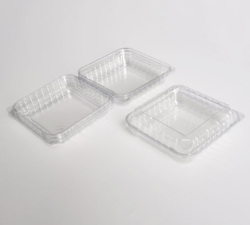 Fresh Food Container