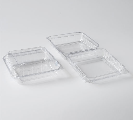 Fresh Food Container