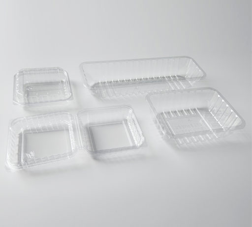 Fresh Food Container