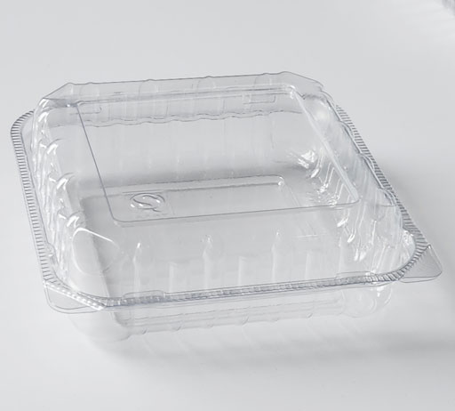 Fresh Food Container