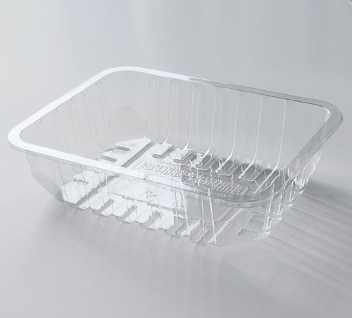 Fresh Food Container